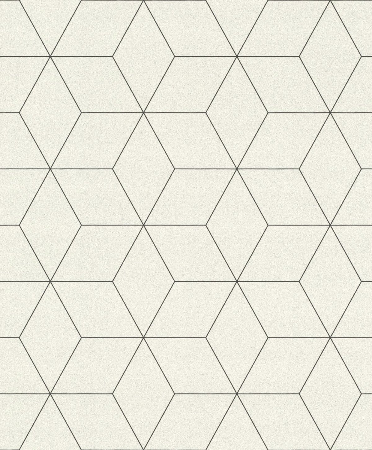 Обои Rasch Modern Art 624304