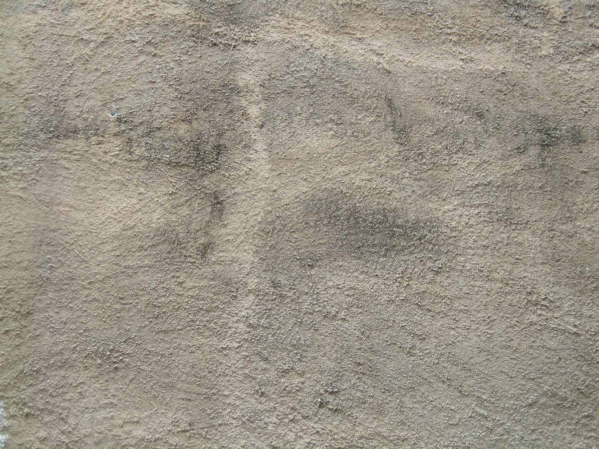 Texture Dirt Stucco