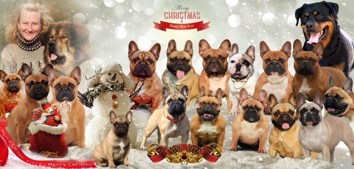 Питомник Vita Vita