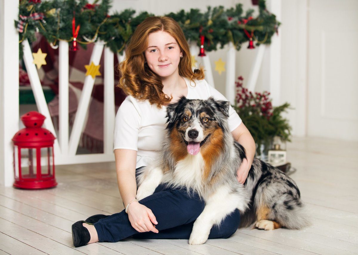 Питомник Russian bulls