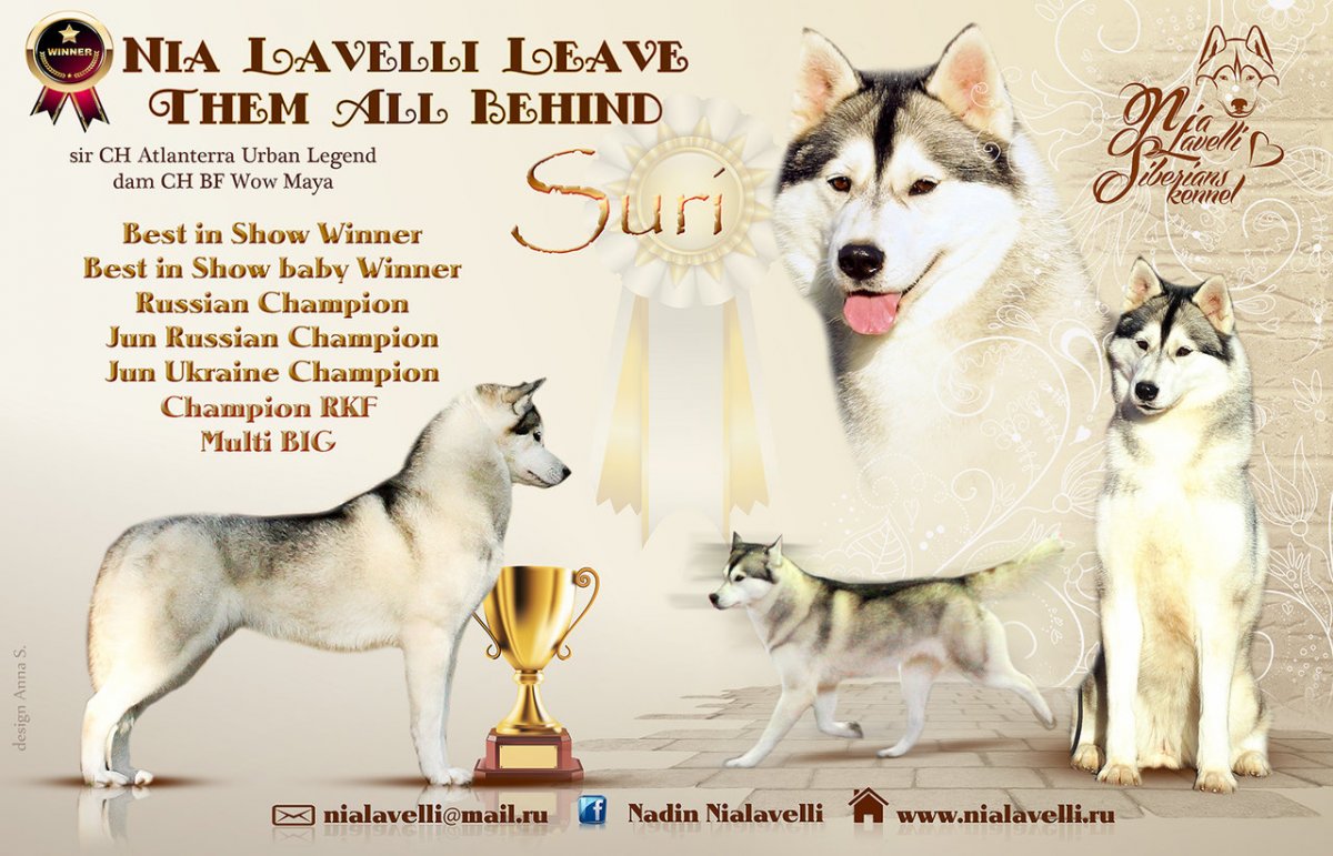 Питомник собак Apriori Primum