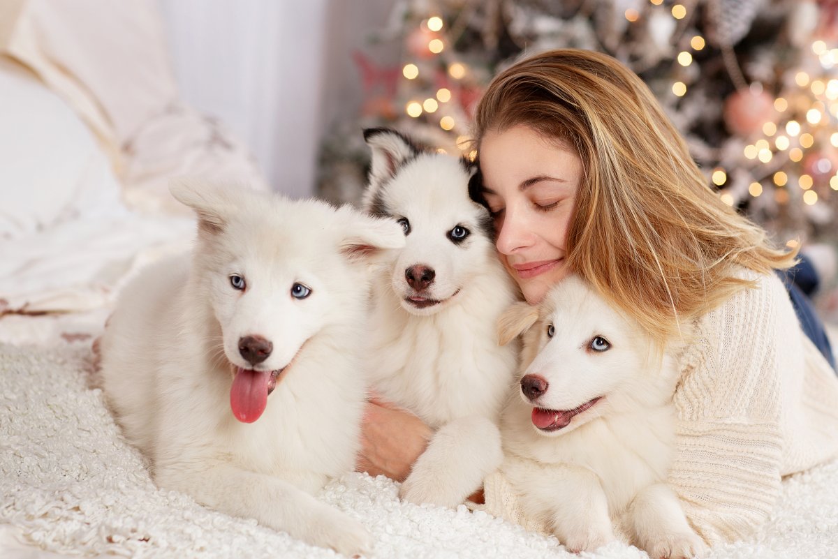 BUZBURI Idel питомник