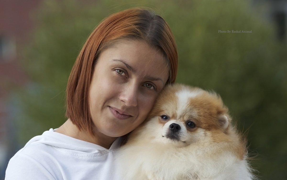 Питомник американских булли в Крыму