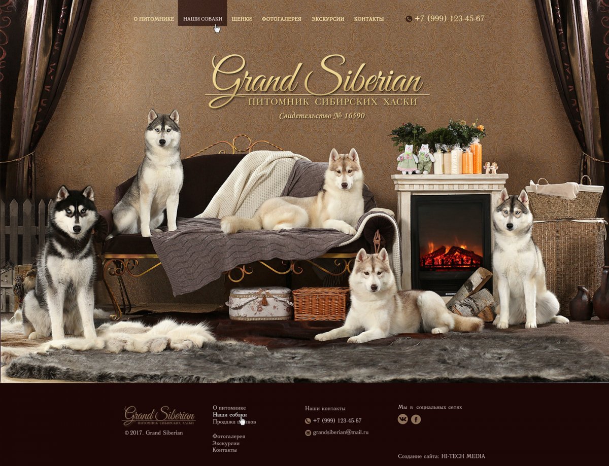 Тибетский мастиф Саратов