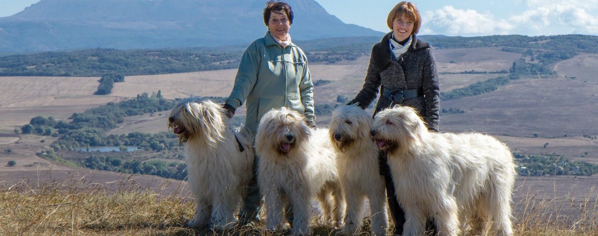 Американские булли Яна Крым питомник