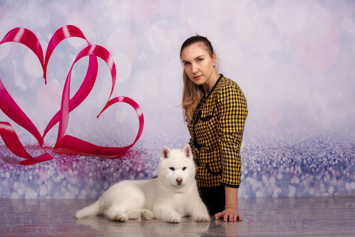 Мичуринский питомник собак