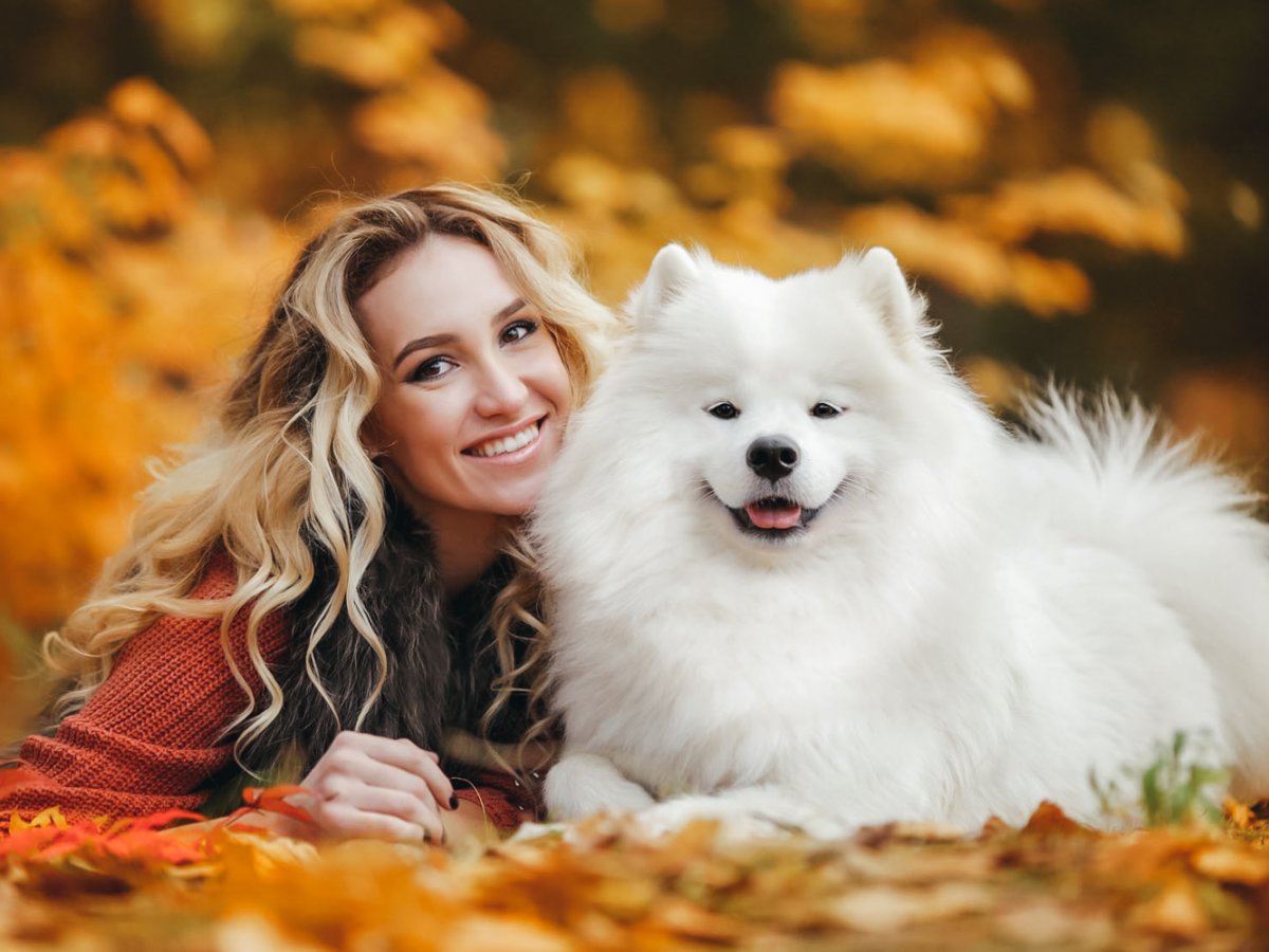 Лендинг питомника