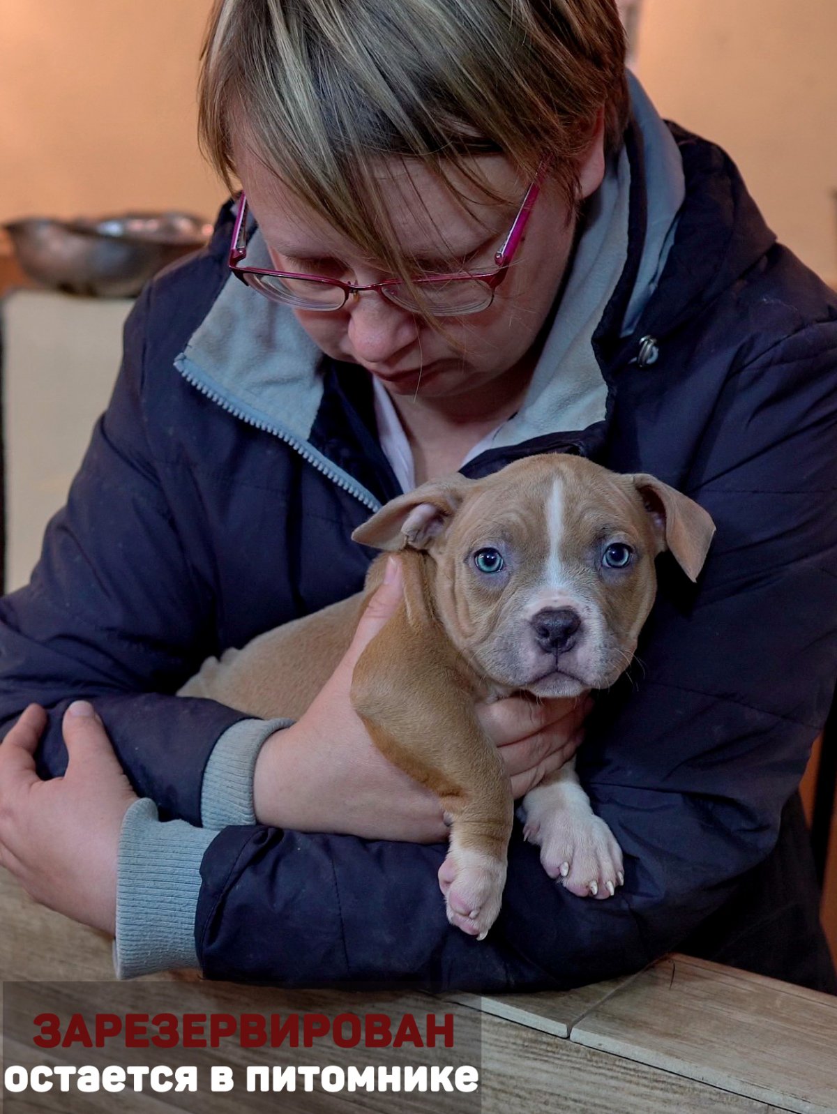 Питомник собак Яна Любомирова