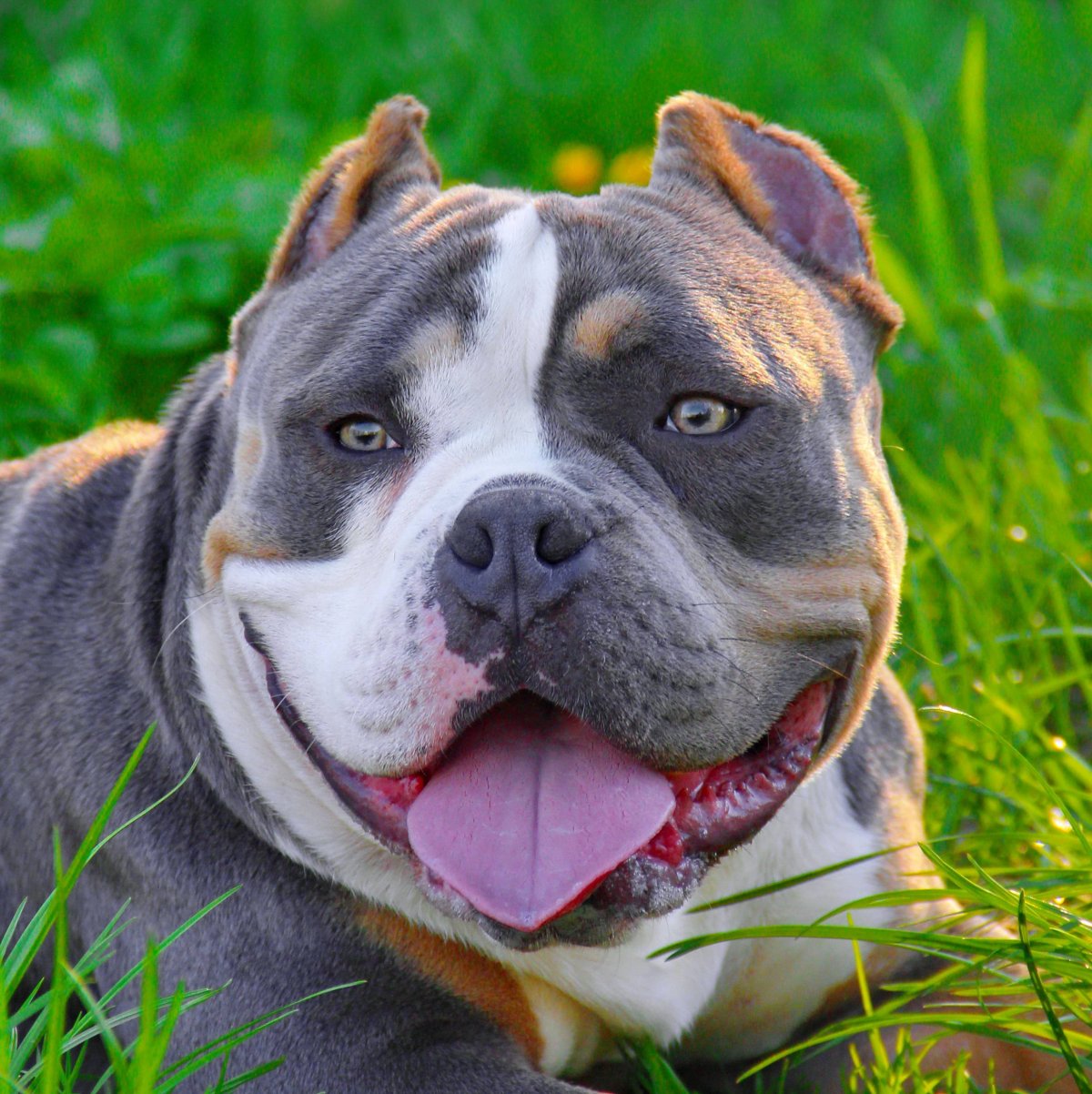 Сабвуфер FBT LS 61a