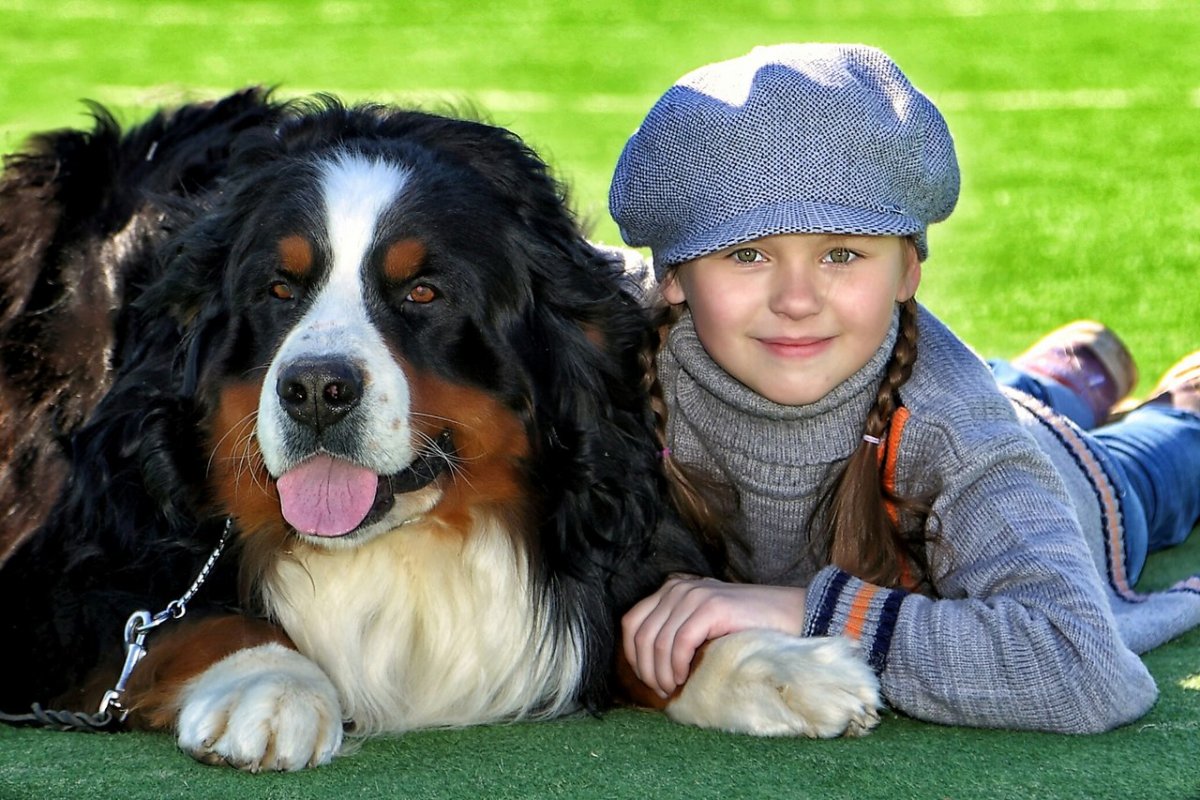 Елена Тайшева заводчик