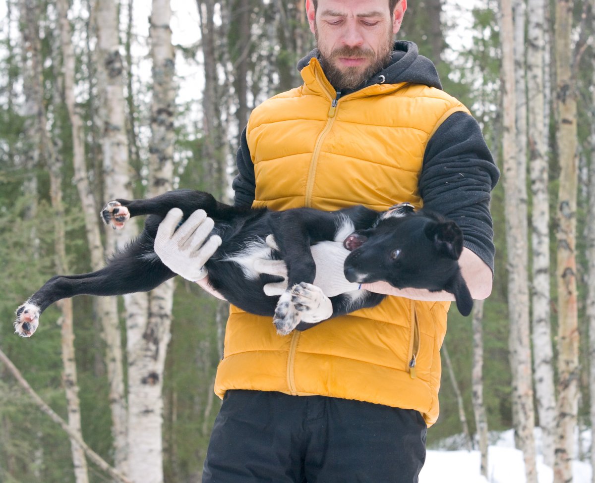 Питомник собак Крым Яна и Гоша