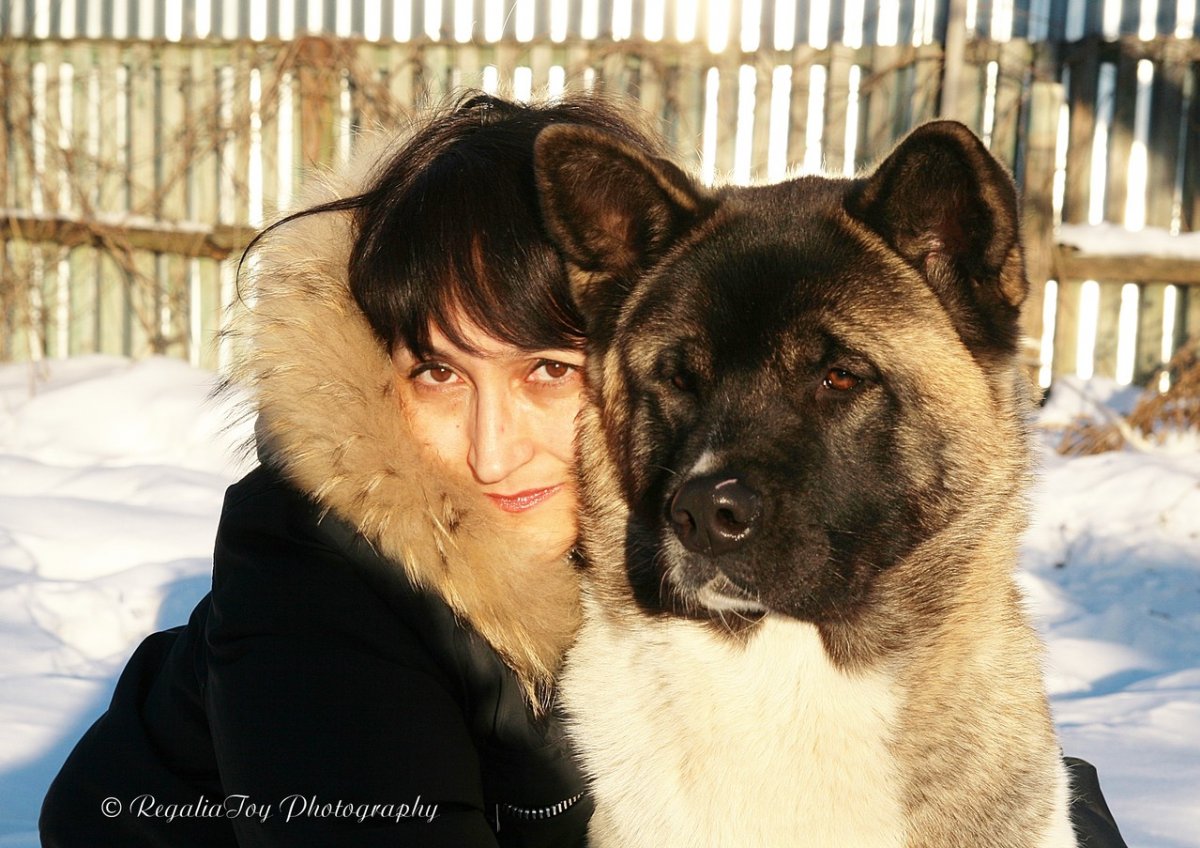 Bridgestone BATTLAX ADVENTURECROSS Scrambler ax41s