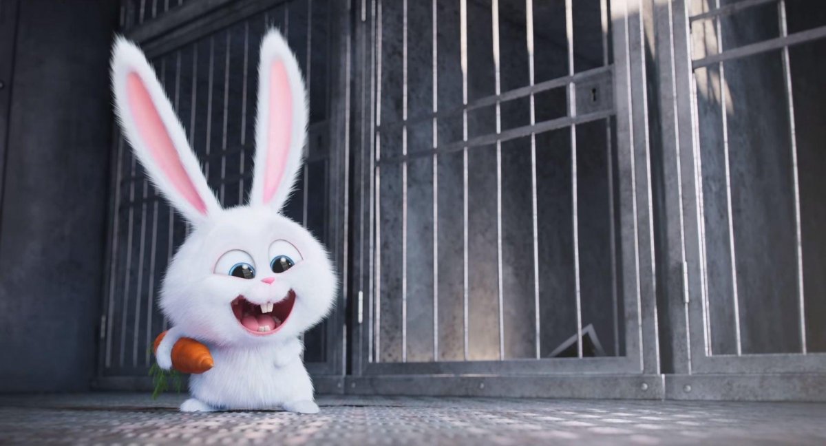 Тайная жизнь домашних животных заяц снежок