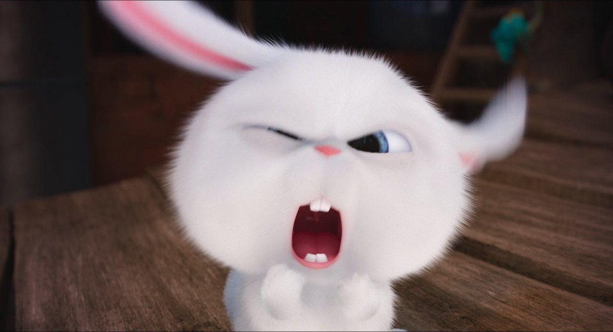 Белый зайчик из мультика