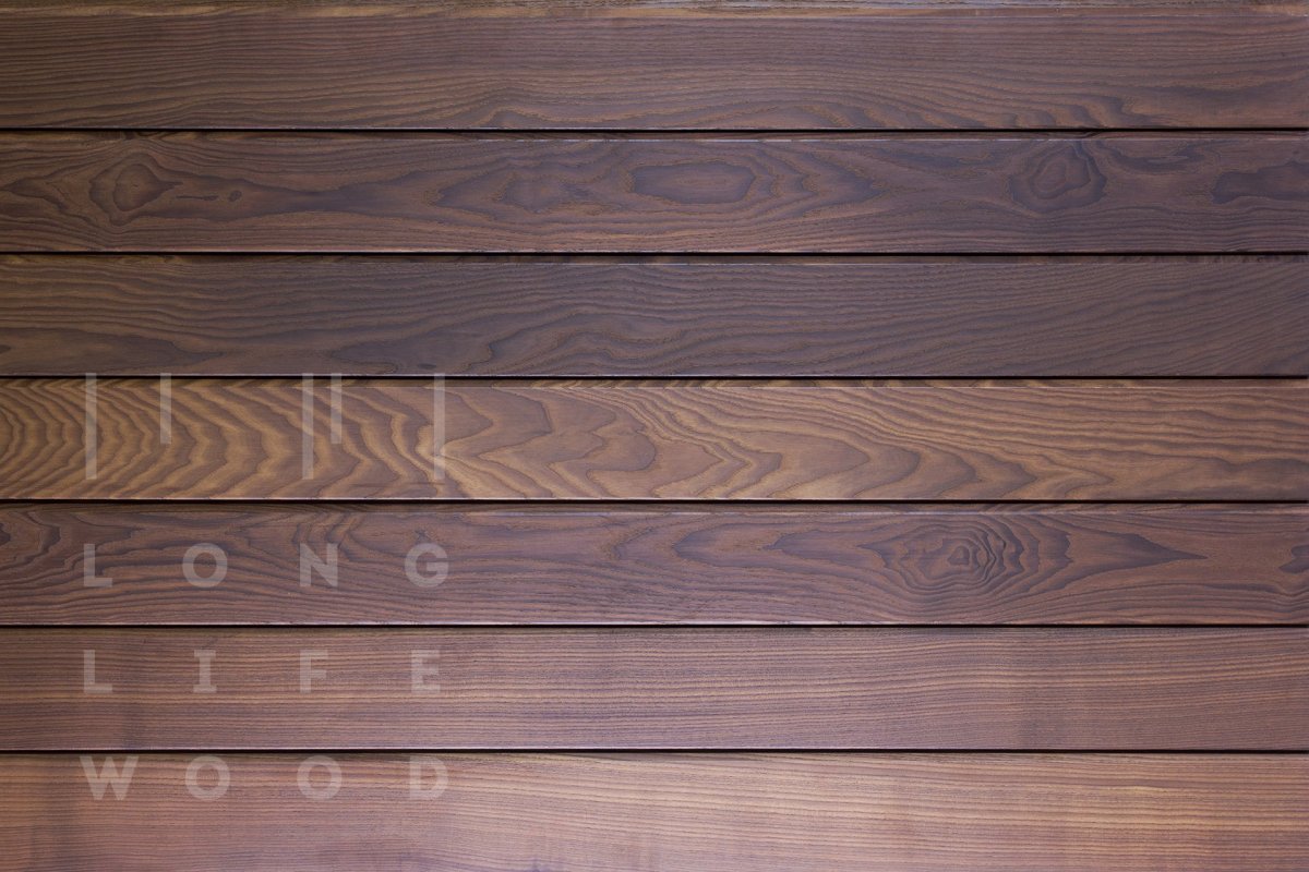 Cedral ночной лес