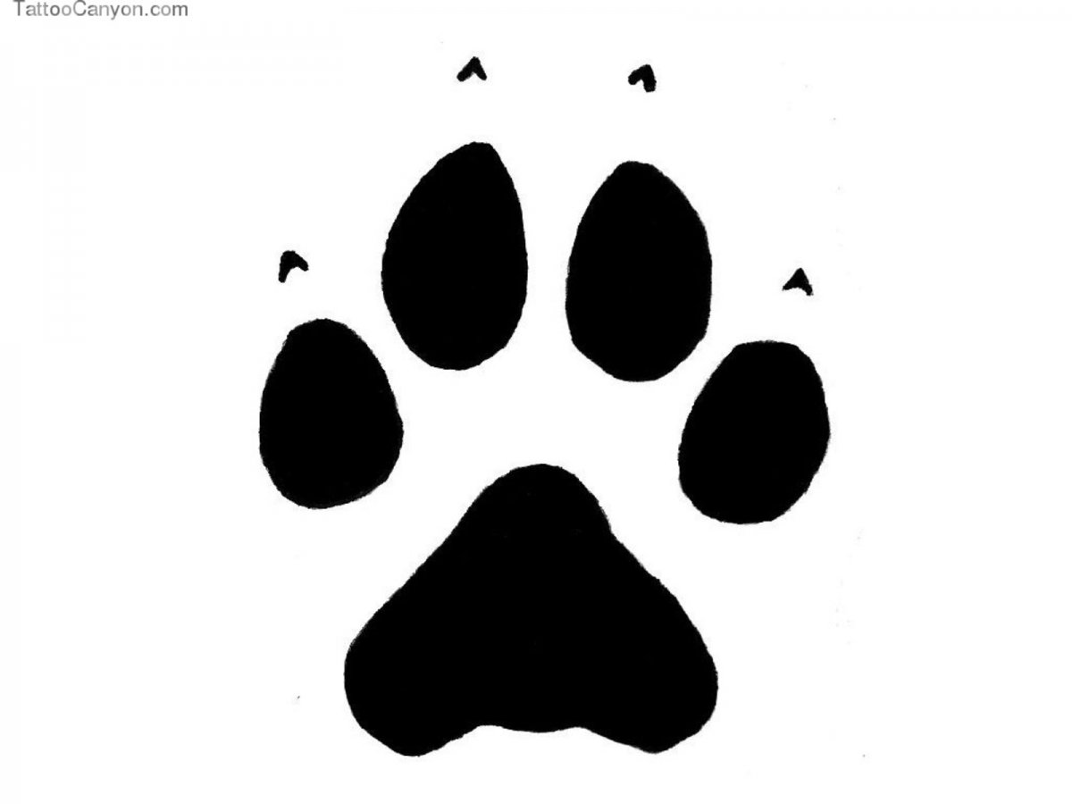 Собачья лапка