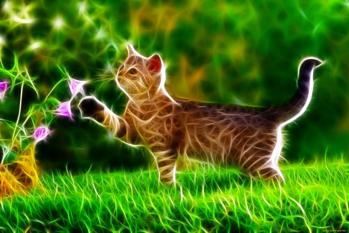 Яркая кошка