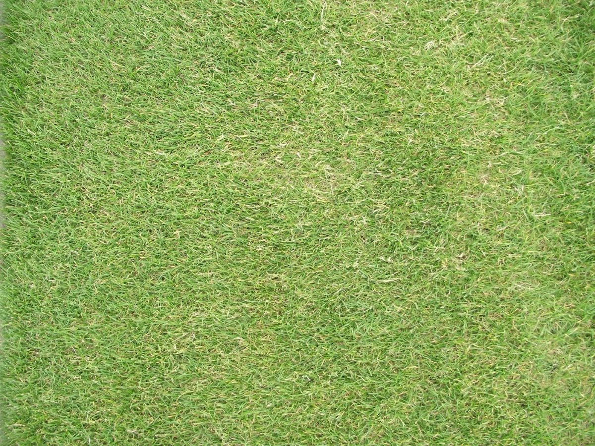 Текстуры для генплана