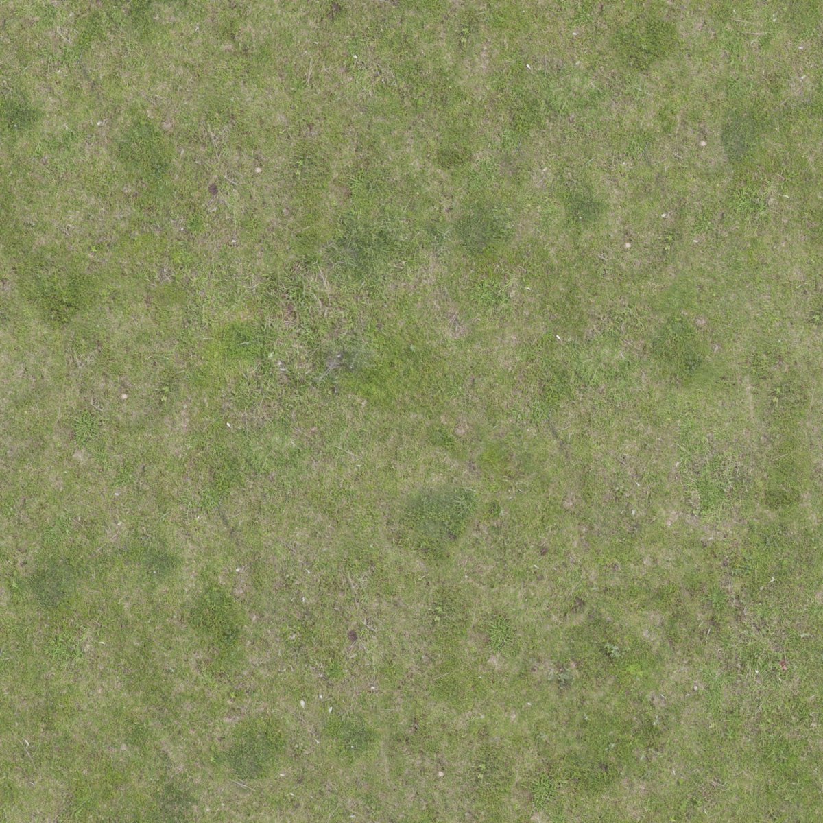 Трава текстура высокое разрешение