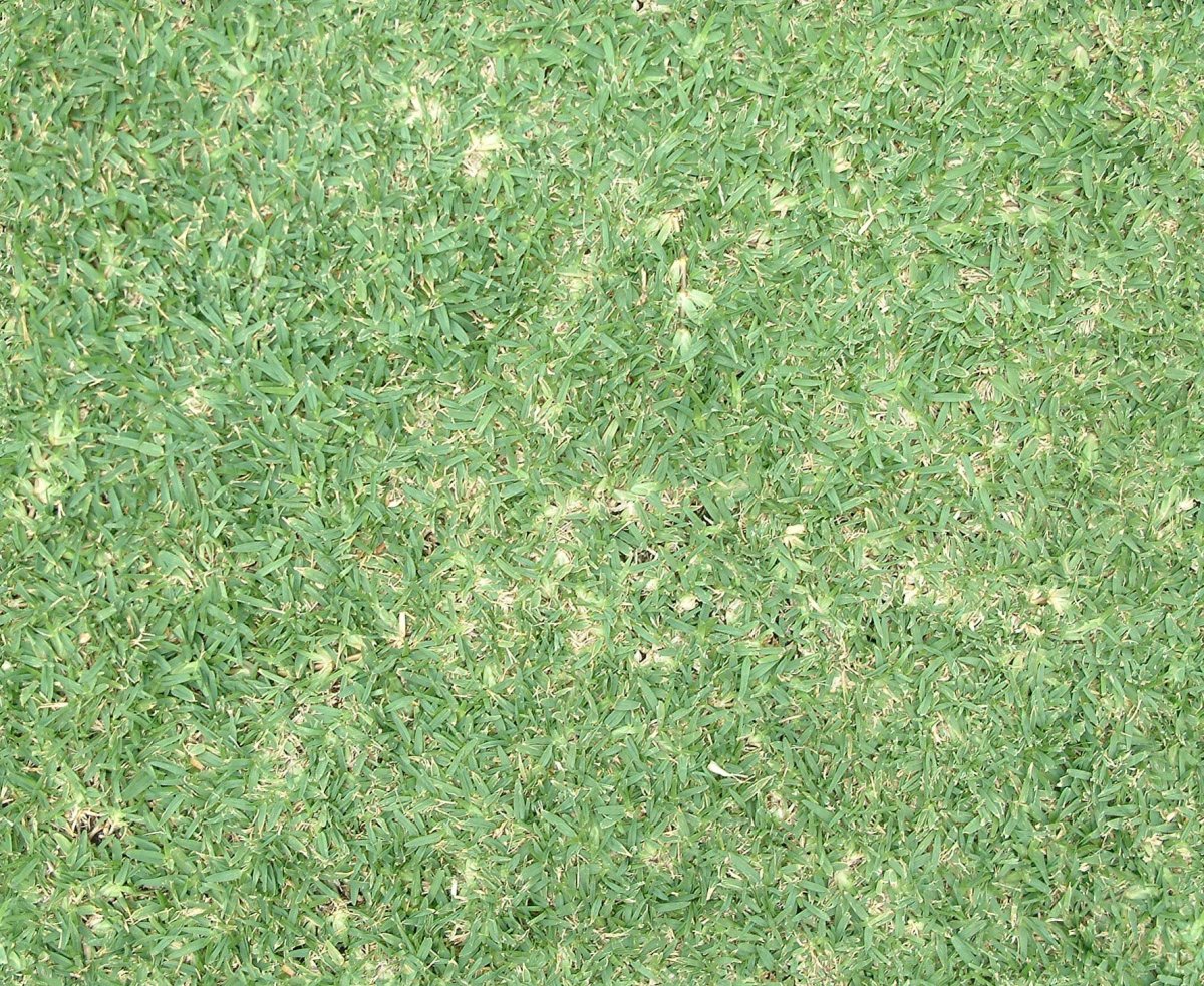 Текстура трава архикад