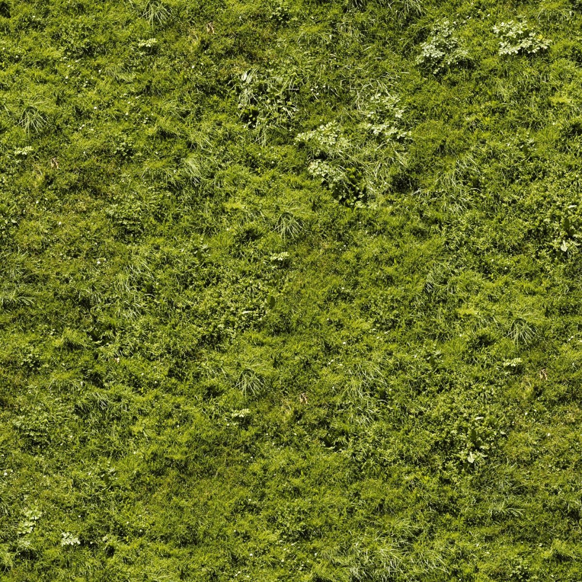 Газон текстура