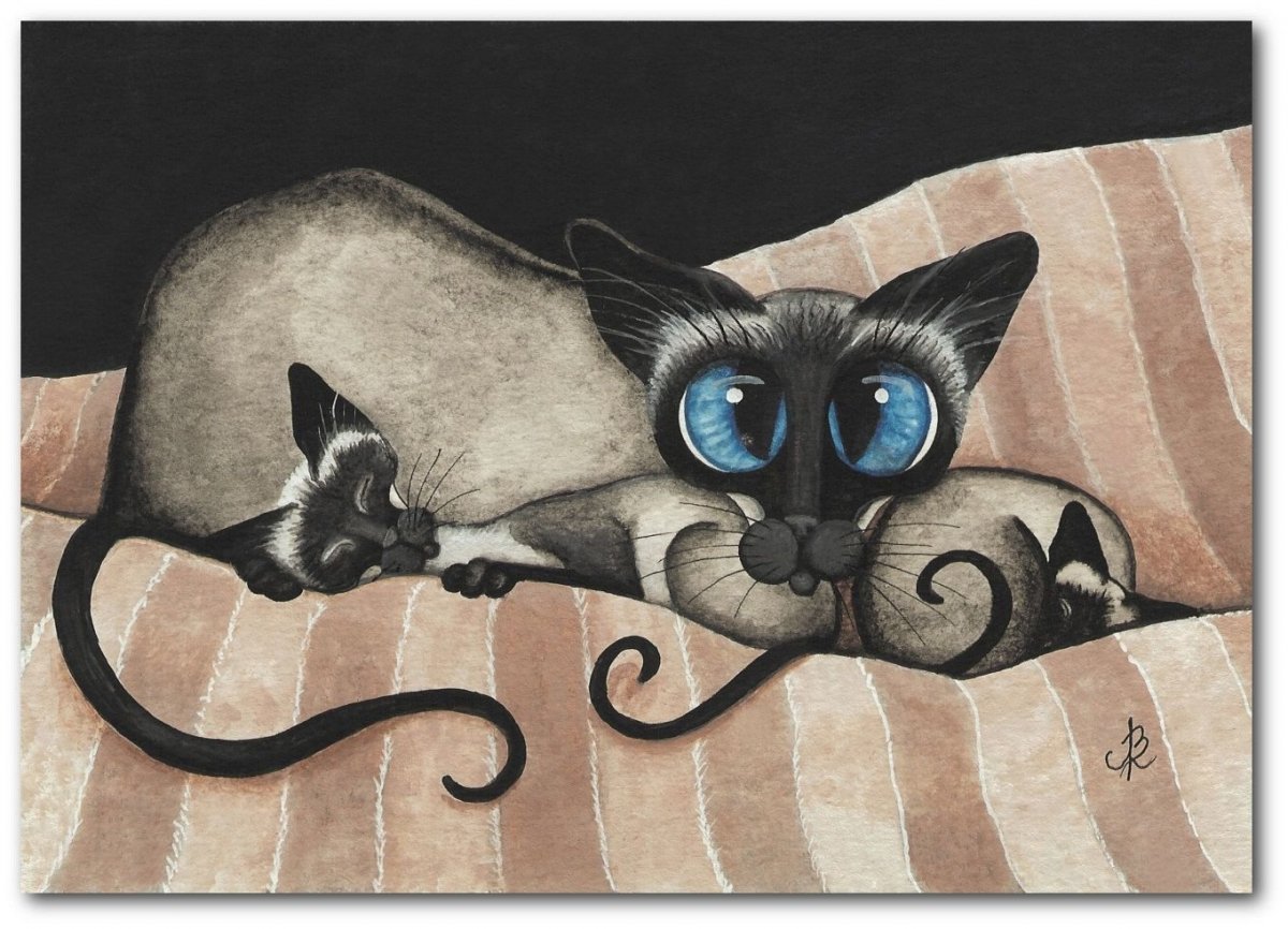 Сиамский Сноу-Шу