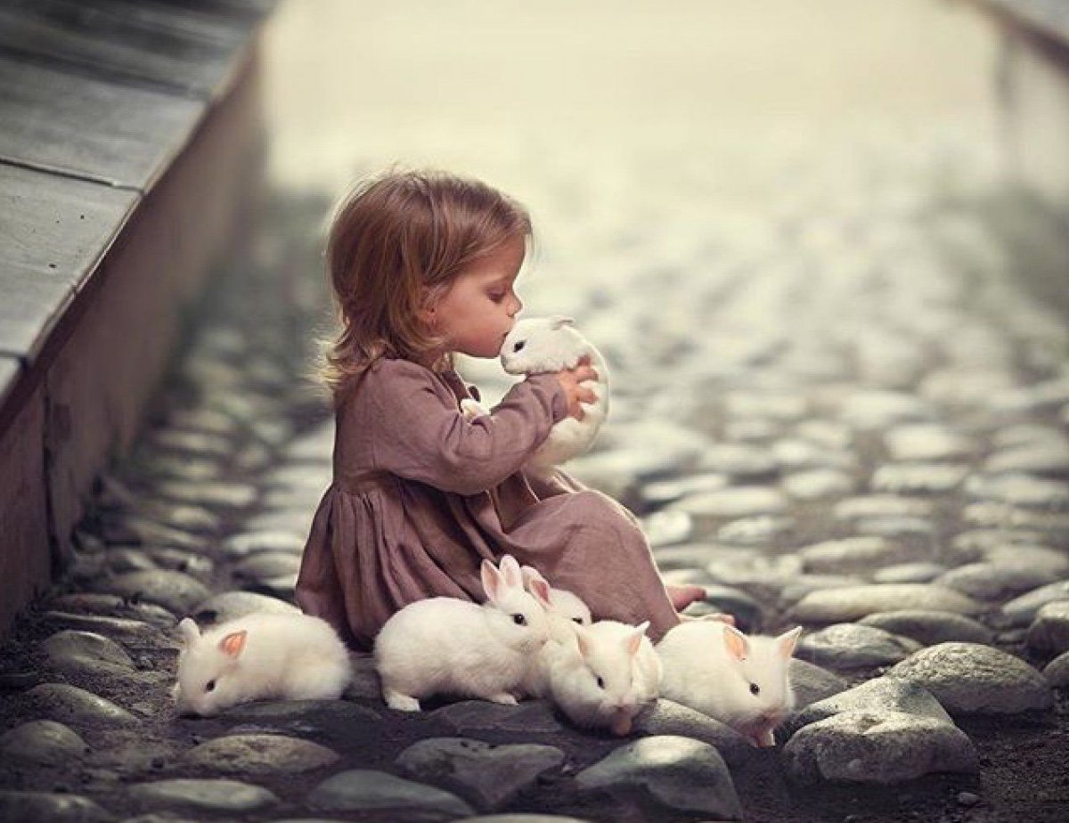 Дети и животные доброта