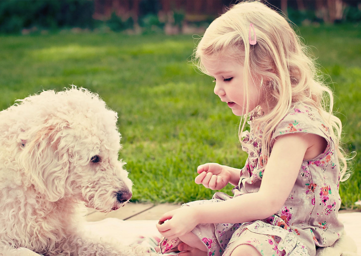 Собака друг человека