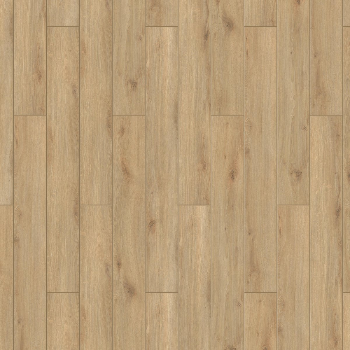 Parador Акация серая 1426414