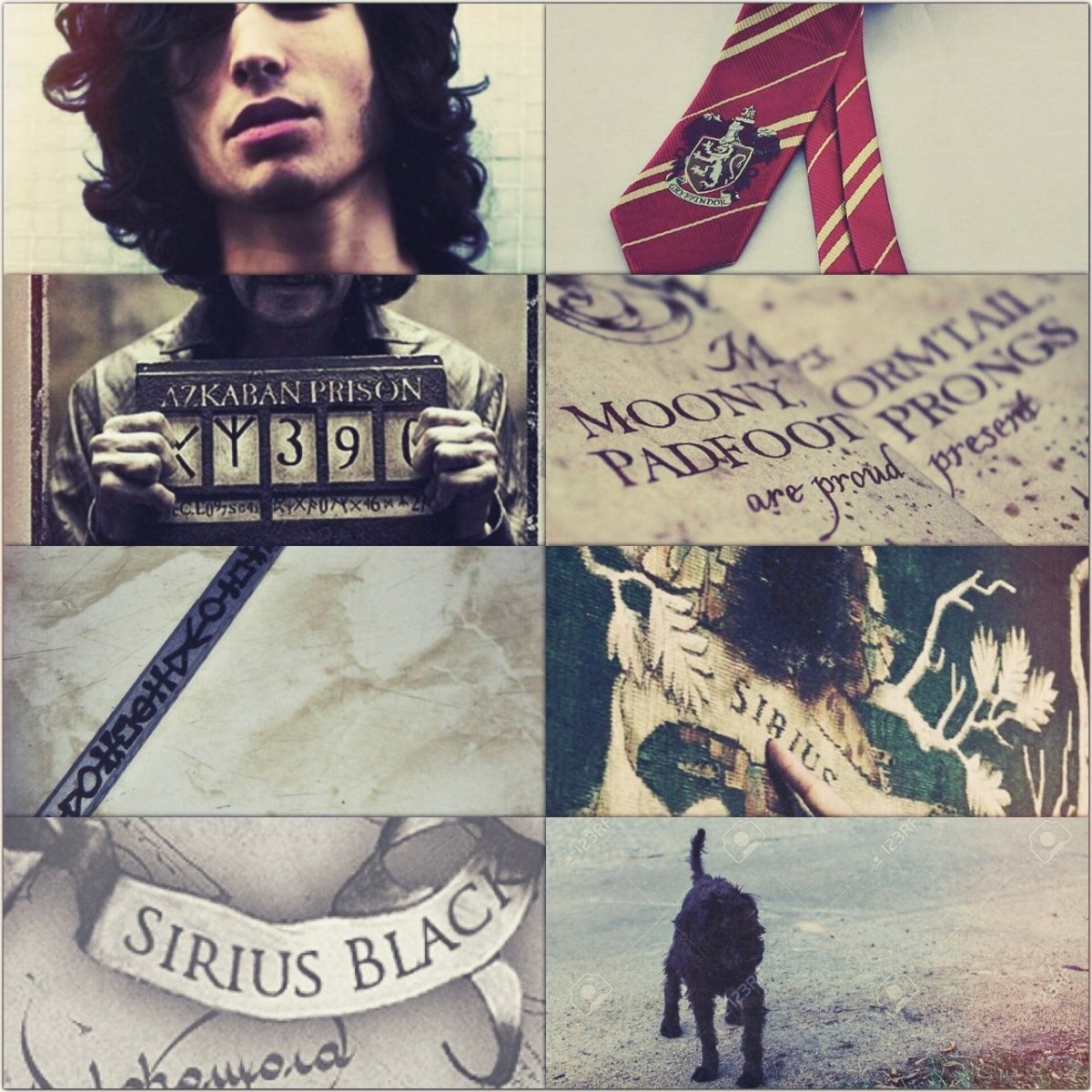 Сириус Блэк анимаг