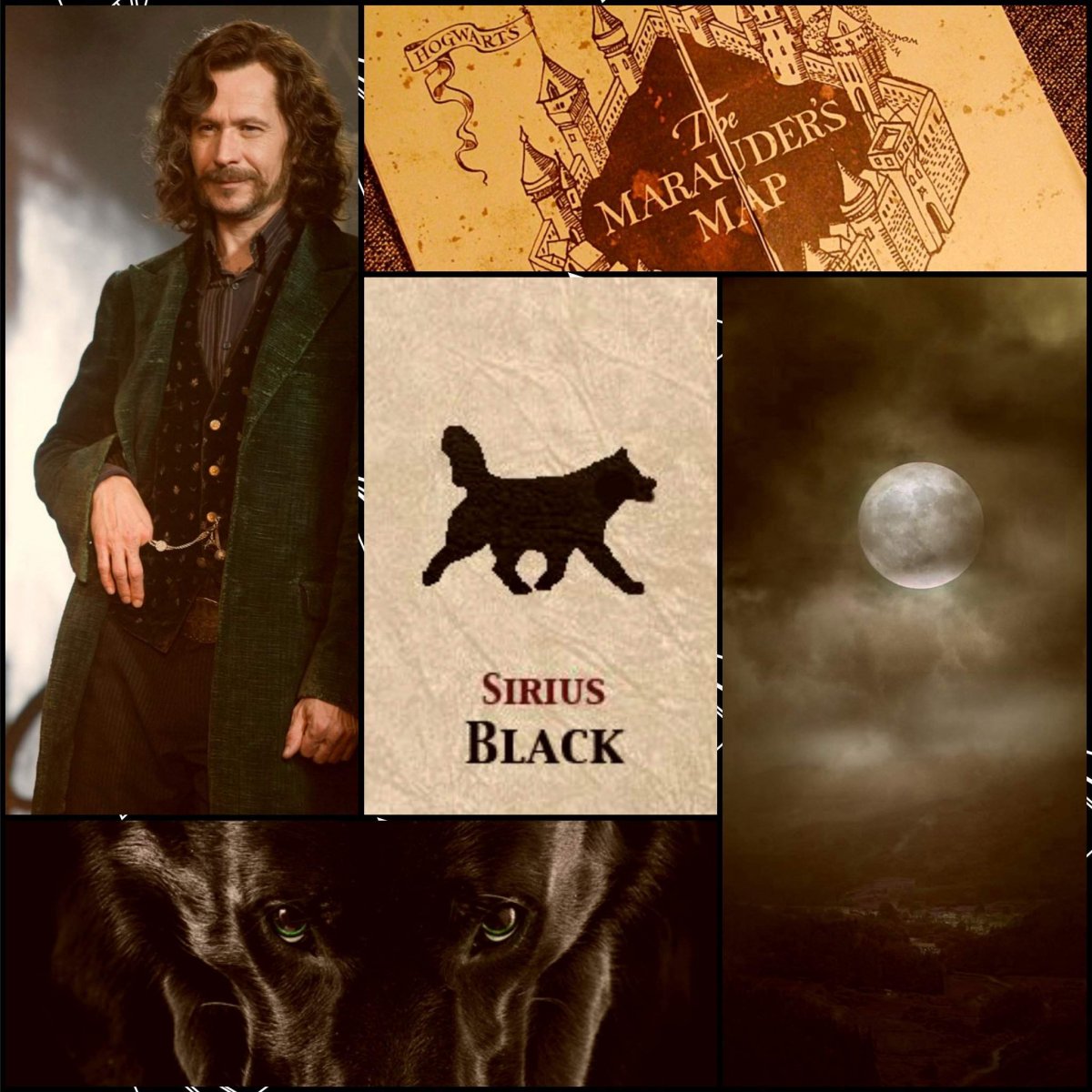 Сириус Блэк анимаг Римус Люпин оборотень