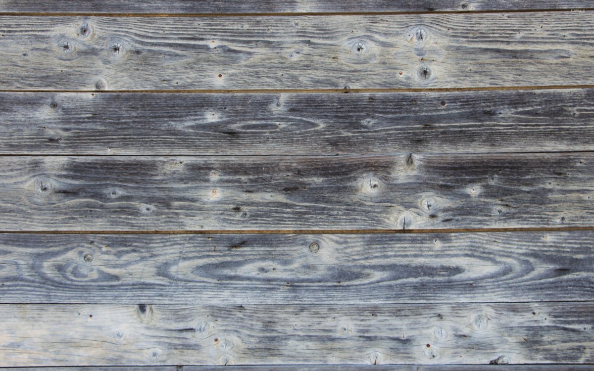 Фотофон дерево