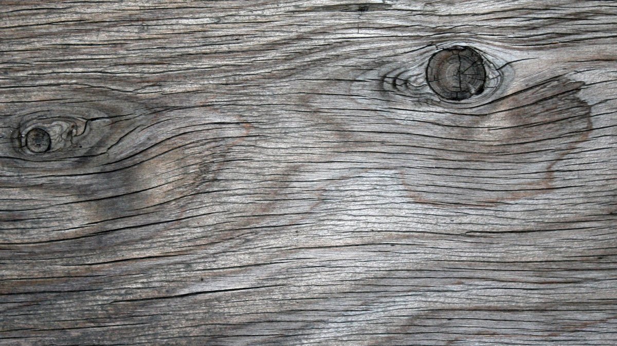 Структура дерева