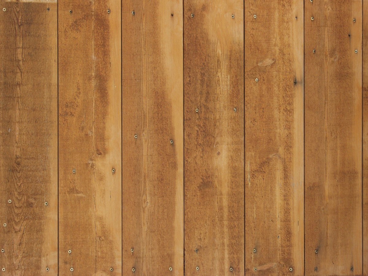 Фактура дерева