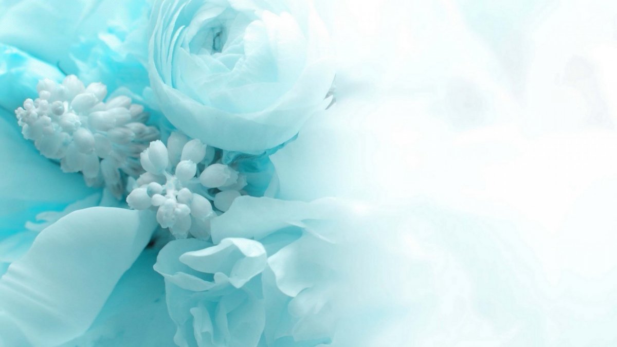 Макаронс Тиффани