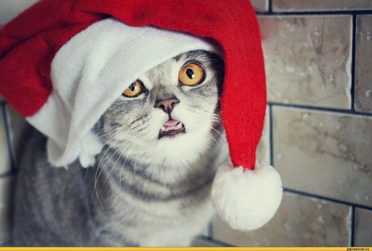 Новогодние аватарки