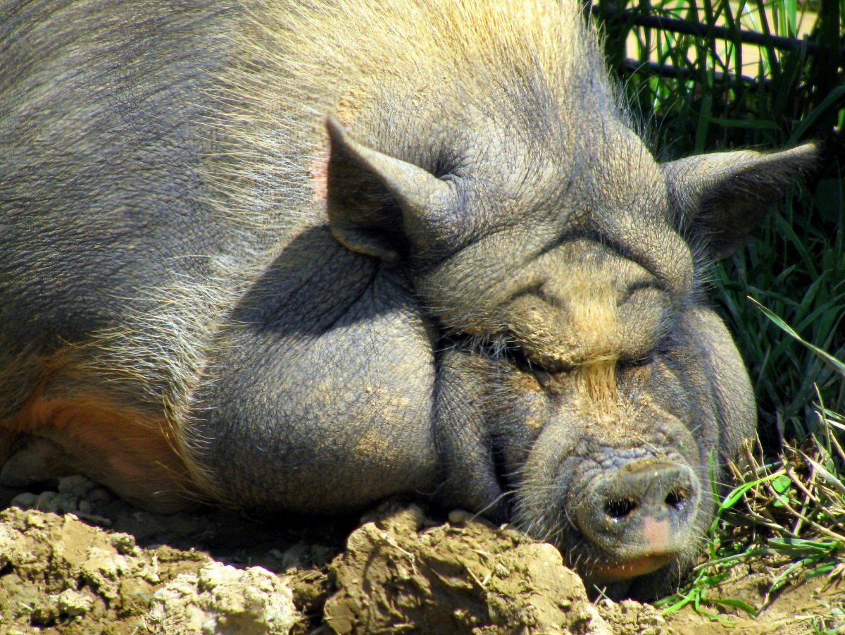 Смешные картинки