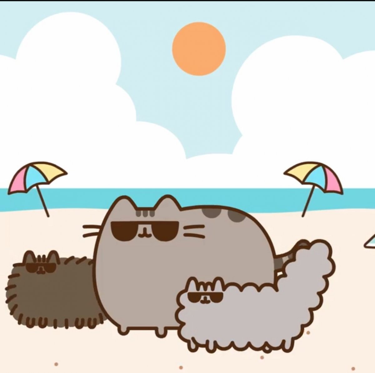 Пушин Кэт путешествие