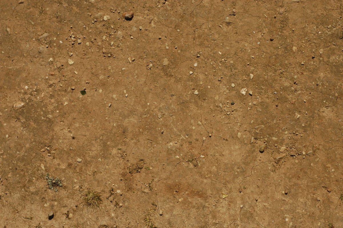 Поверхность почвы