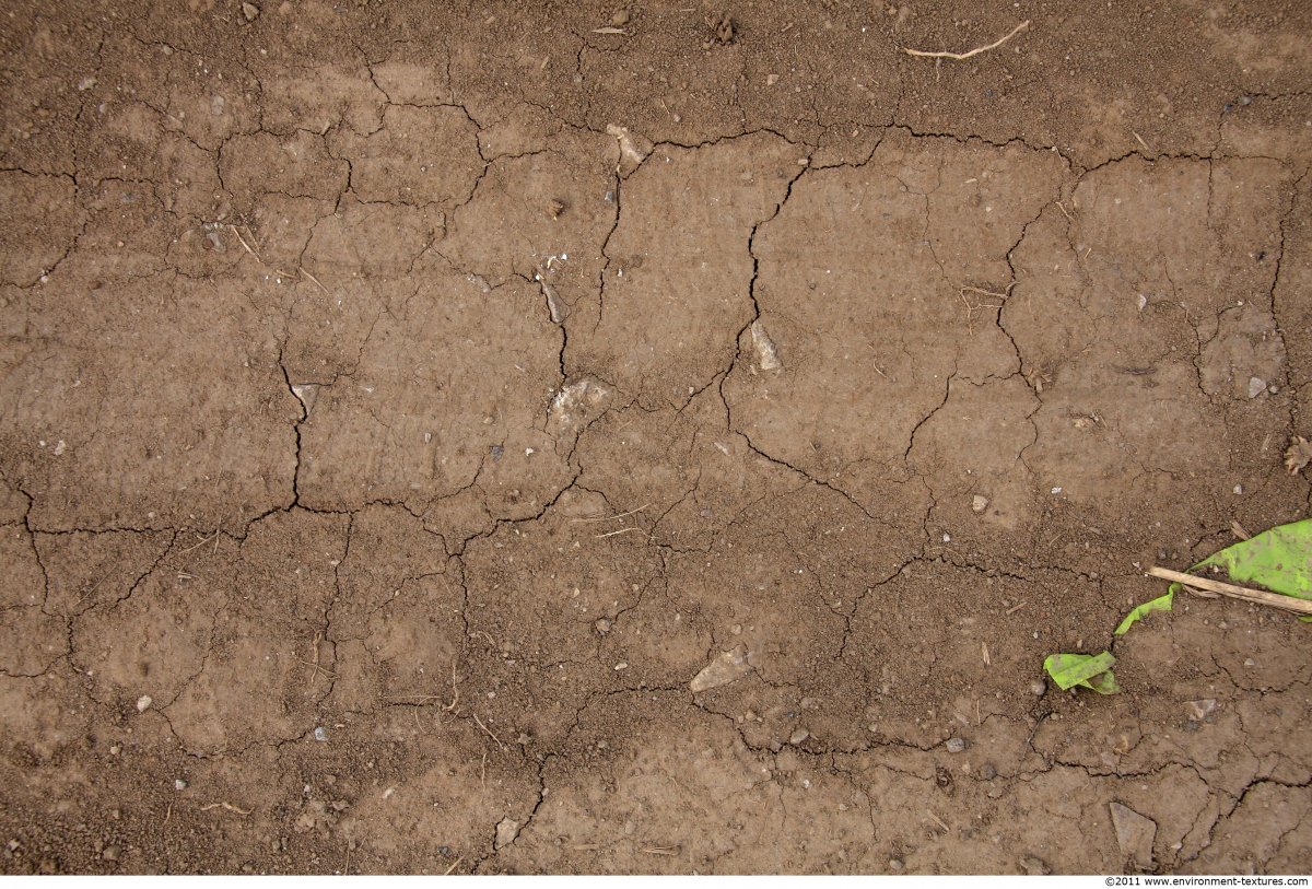 Лавовые трещины