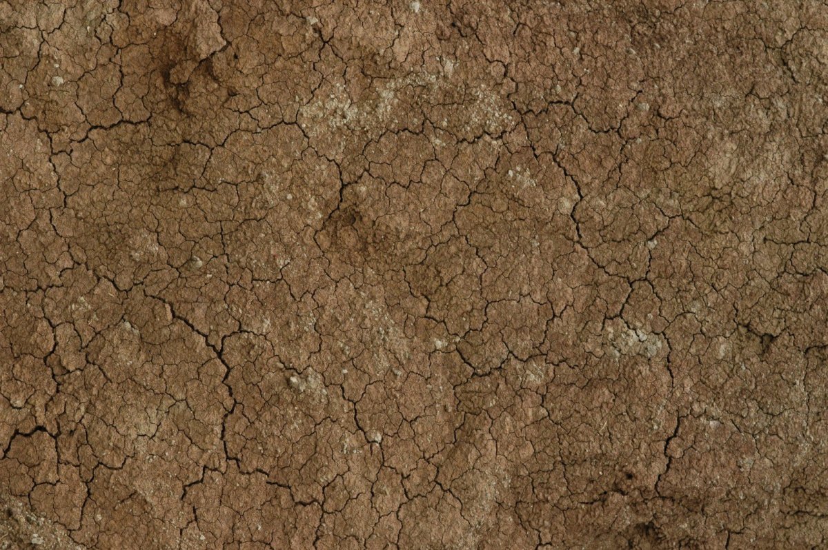 Текстура земли с травой