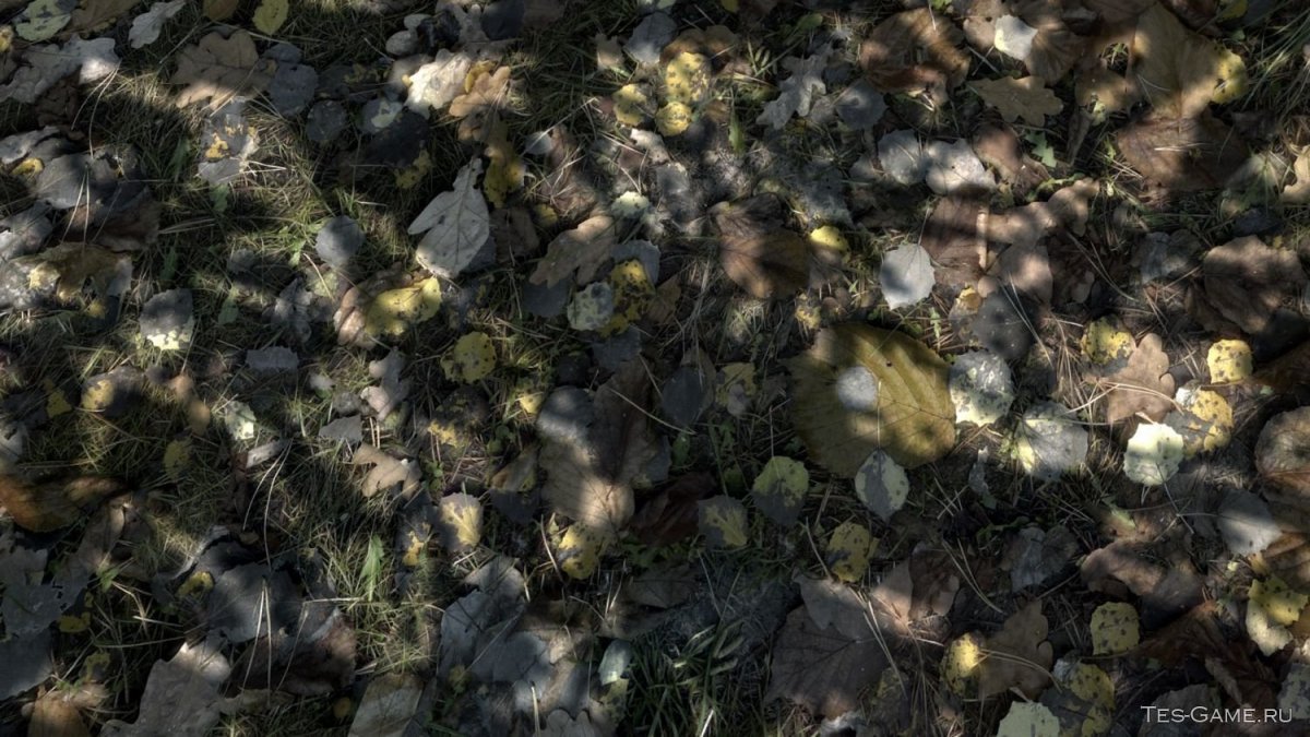 Фактура земли