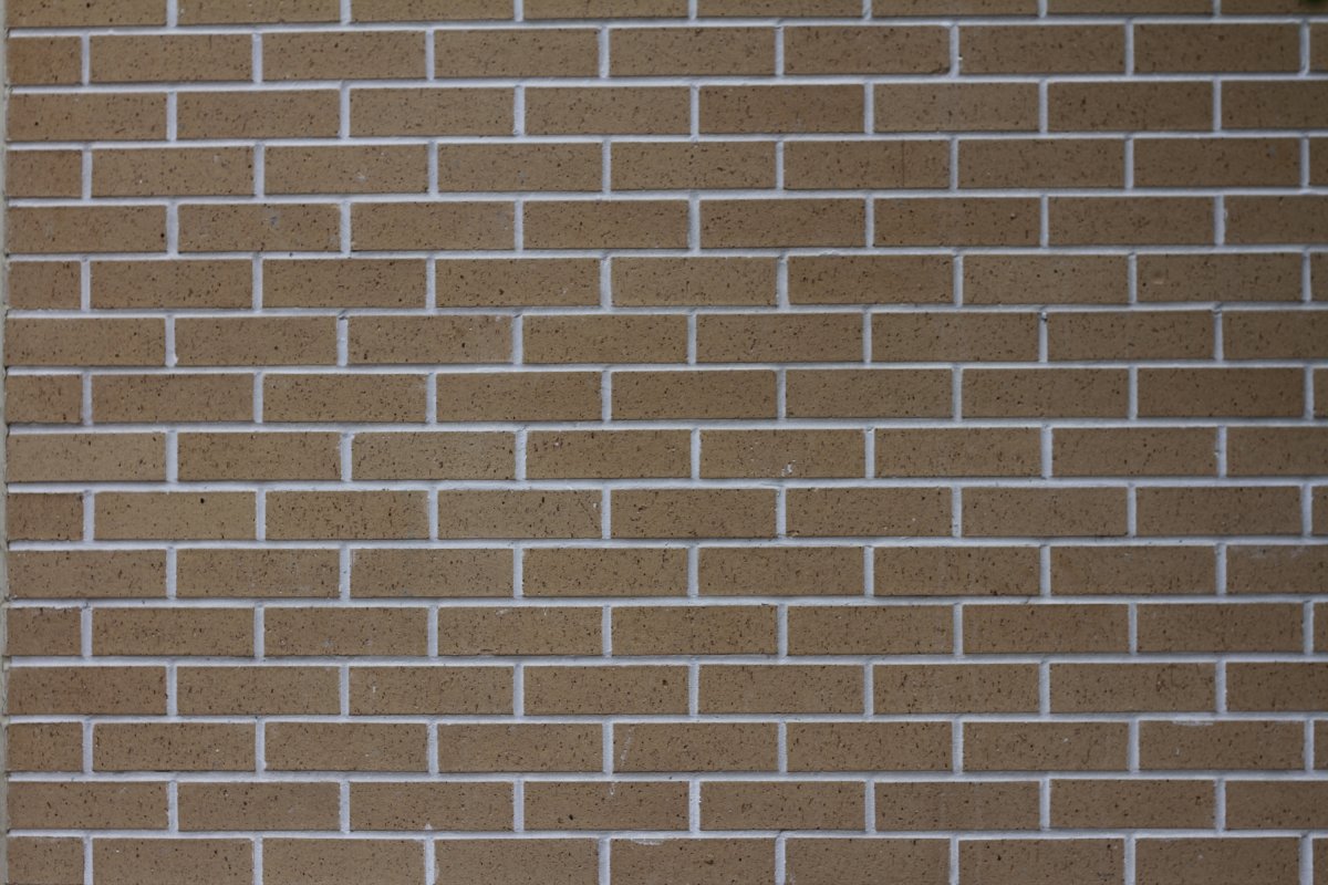 R764nf14 vascu Argo rotado