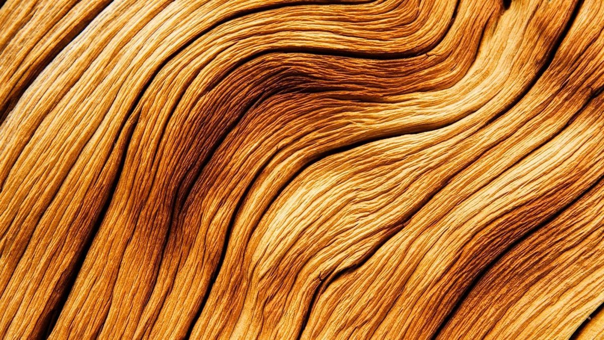 Структура дерева бесшовная