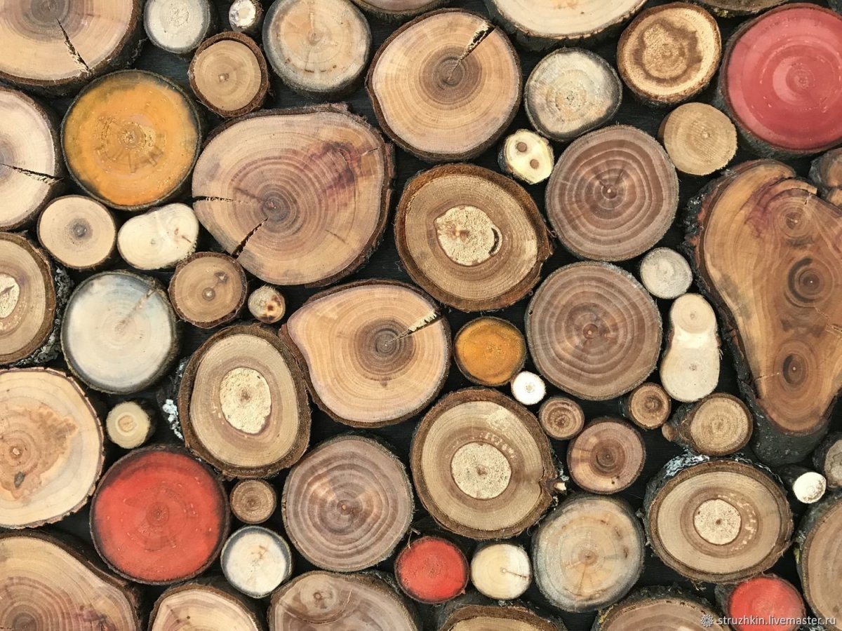 Ценные породы древесины