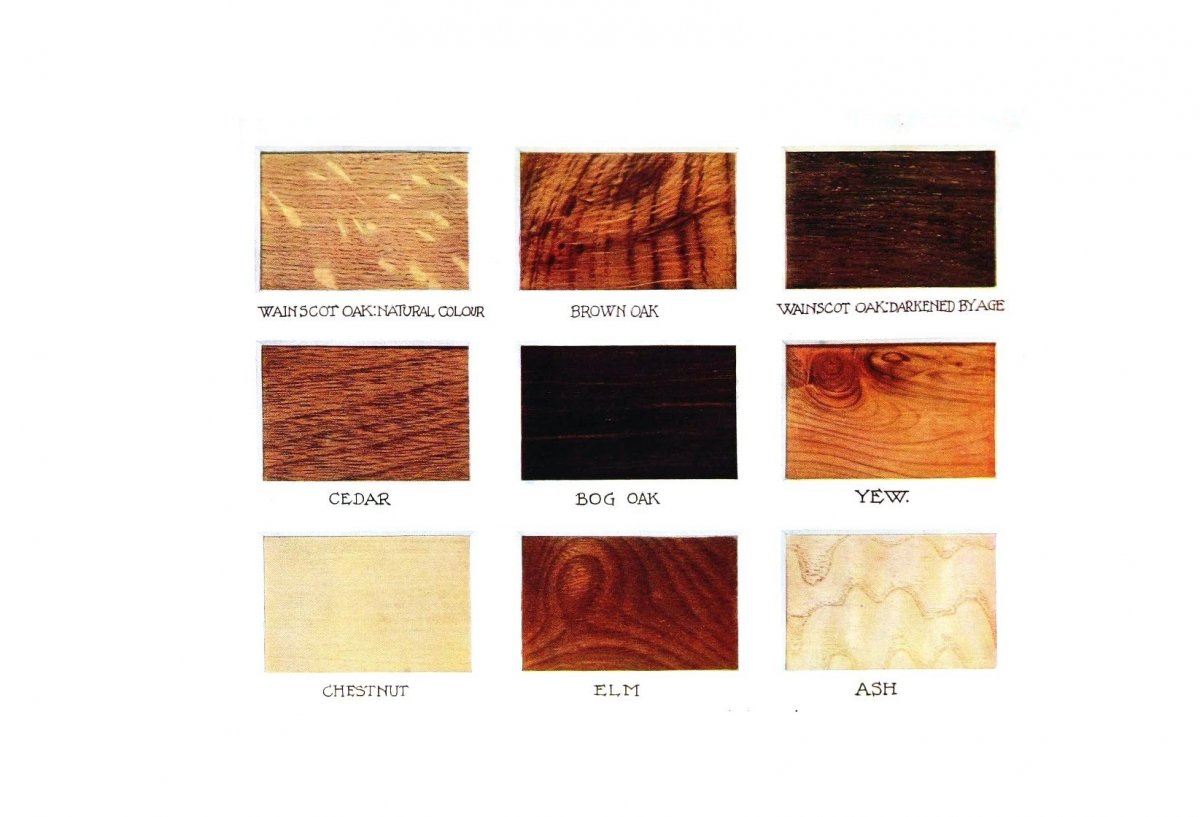 Древесина различных пород дерева