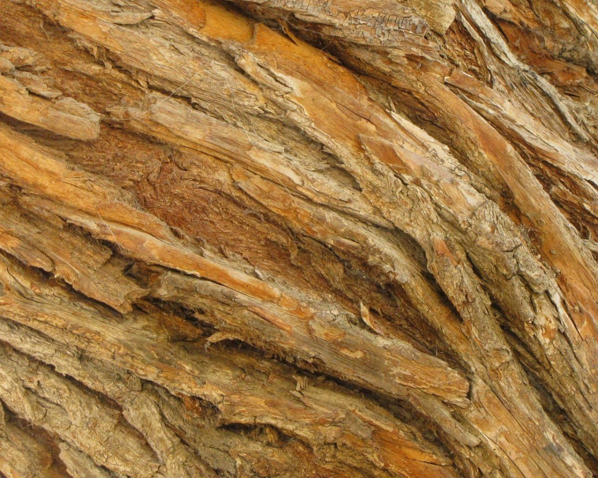 Текстура досок для блендера