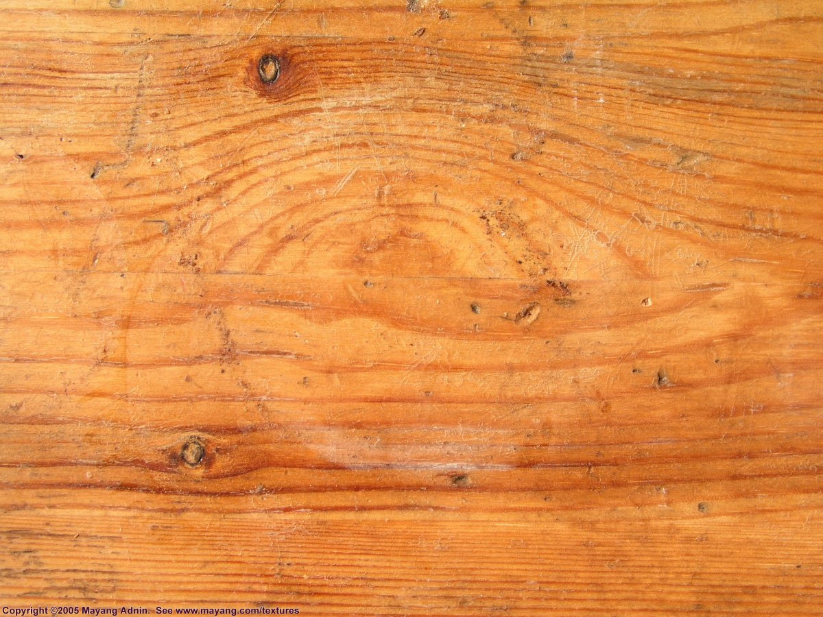 Фактура коры дерева