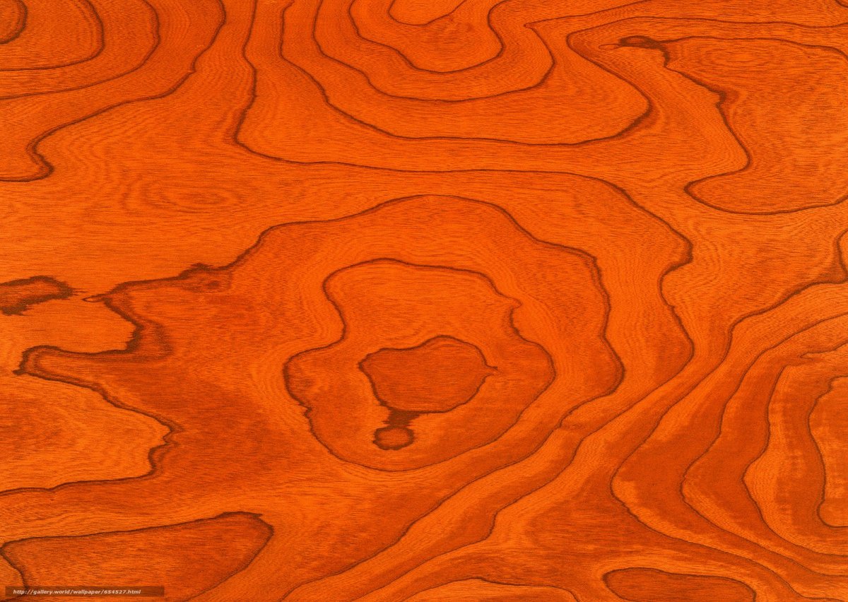 Текстура дерева мультяшная