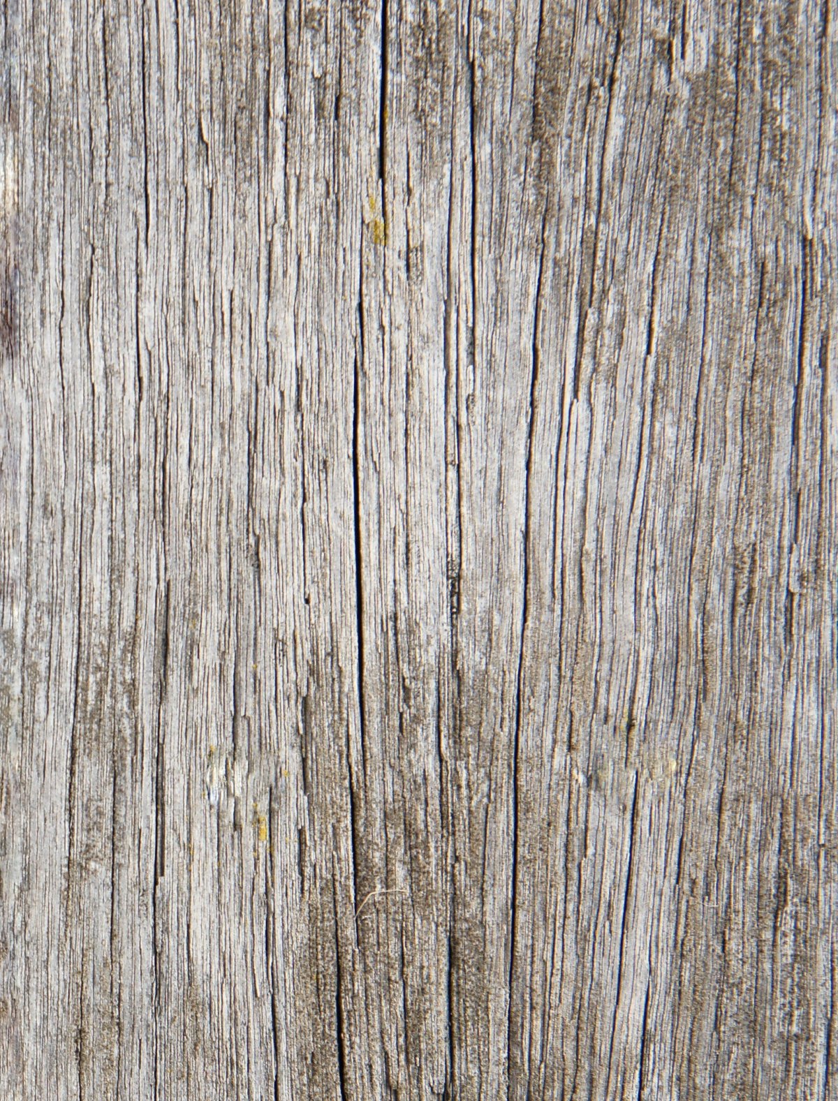 Текстура дерева бесшовная